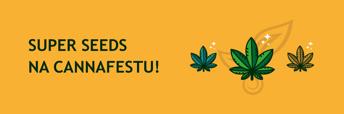 Super Seeds na Cannafestu!